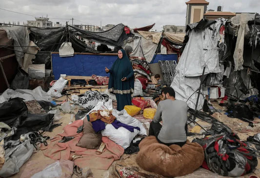 Shelter Setup Service – $100